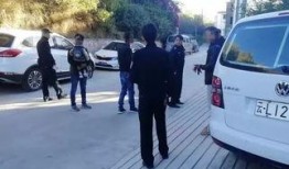 抽车最新爆料视频,抽车视频揭秘行业内幕